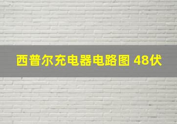 西普尔充电器电路图 48伏